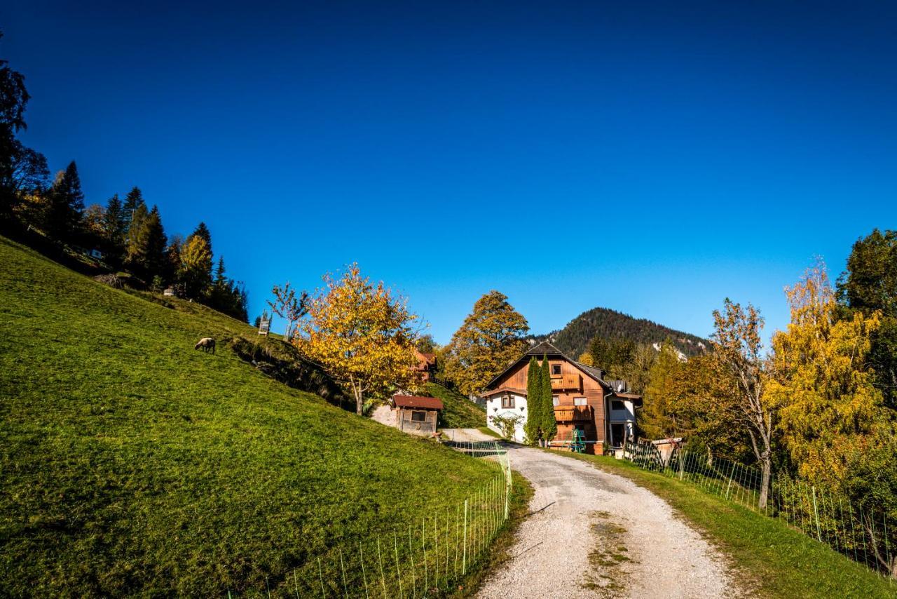 Stallhaeusl Schladming Εξωτερικό φωτογραφία