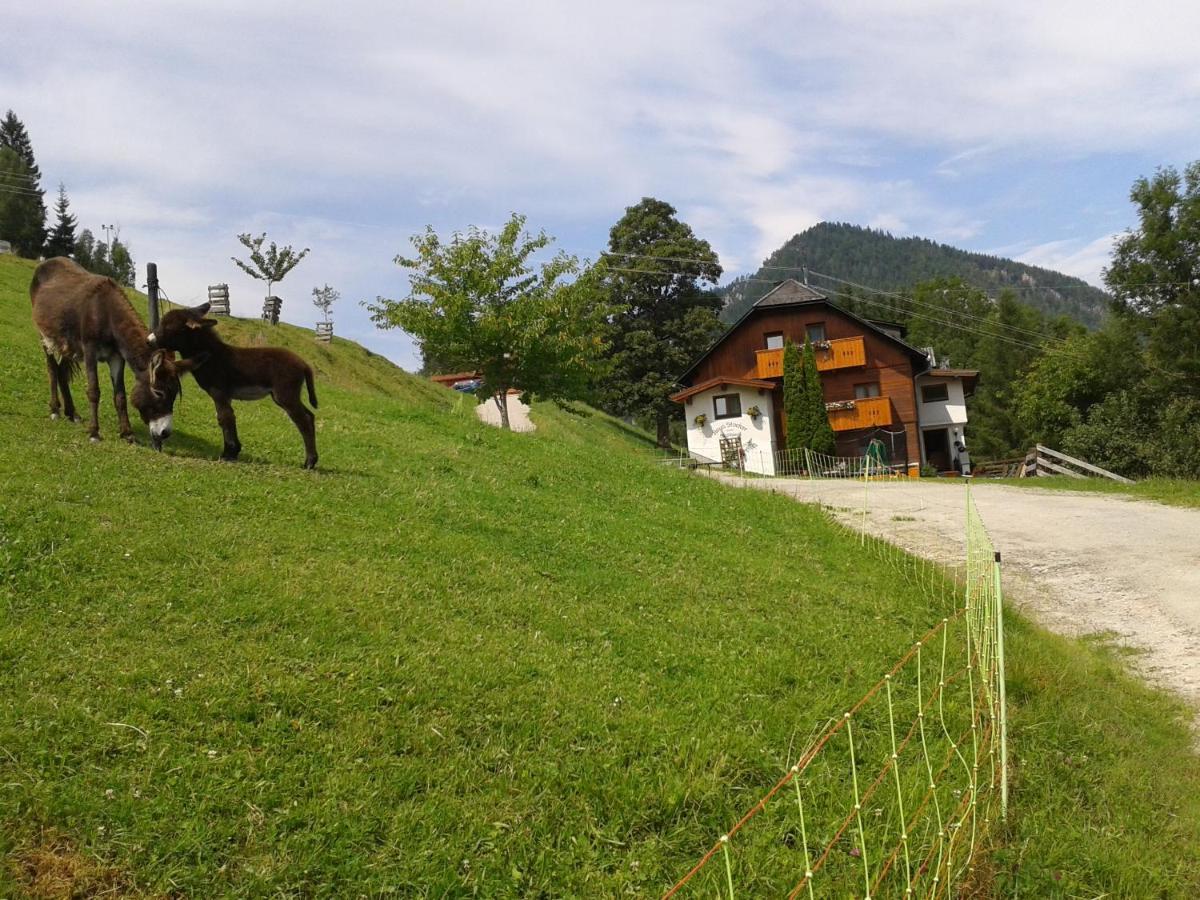 Stallhaeusl Schladming Εξωτερικό φωτογραφία