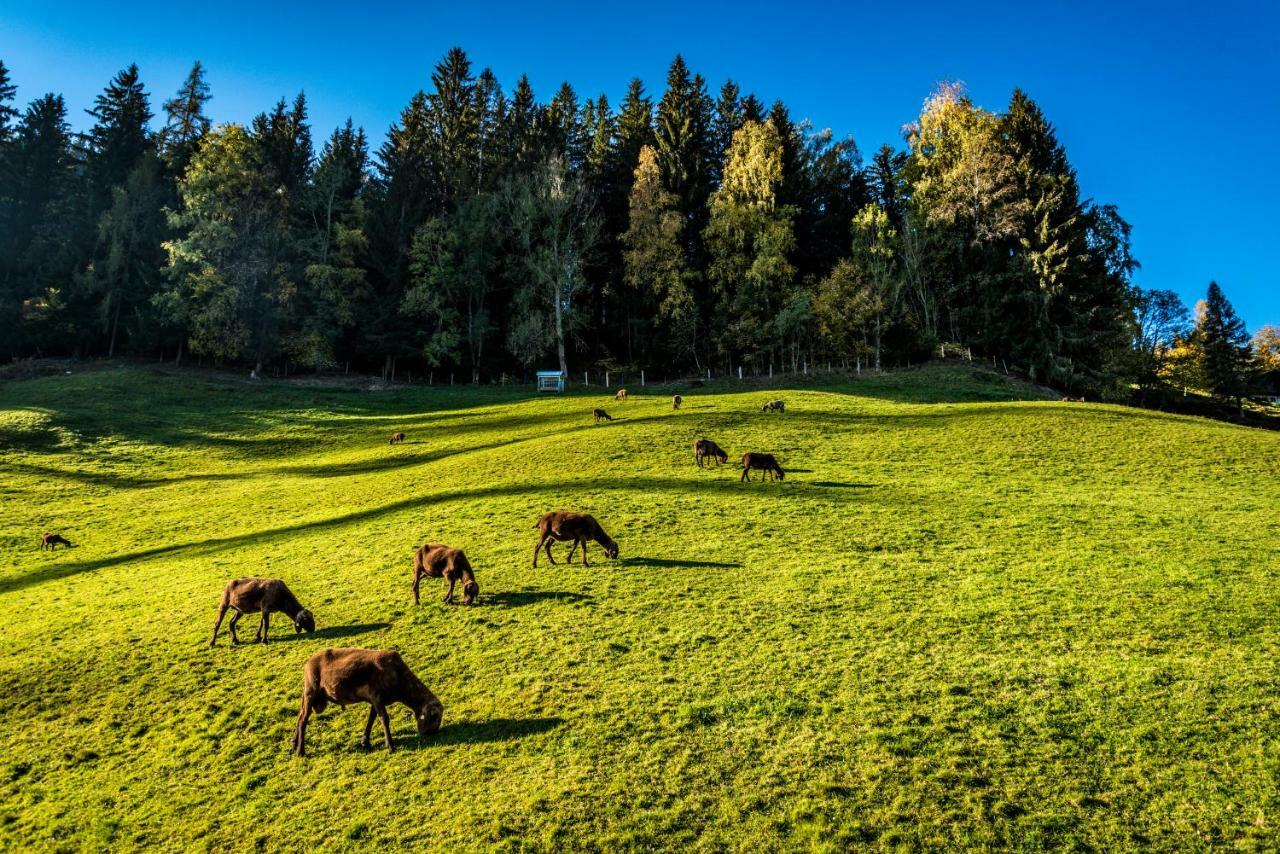Stallhaeusl Schladming Εξωτερικό φωτογραφία