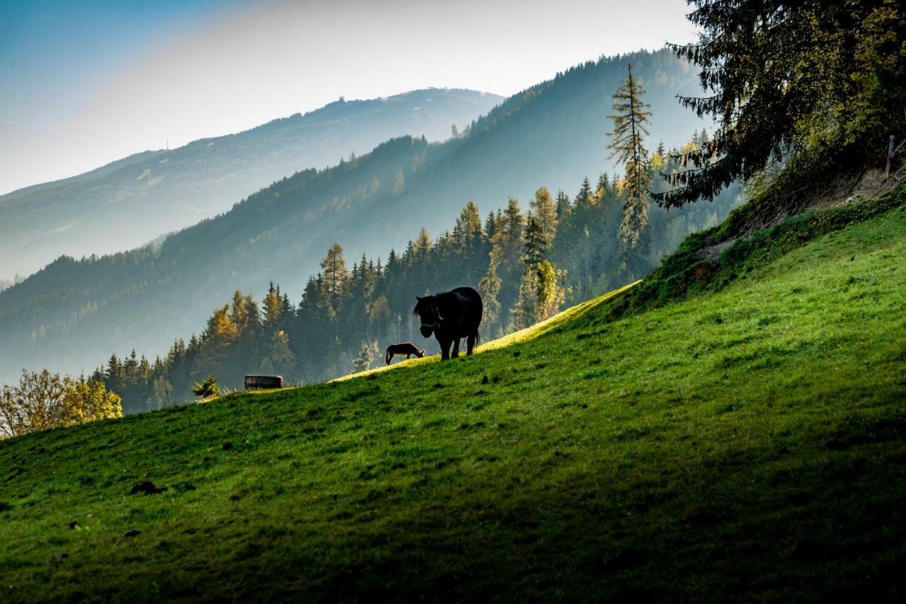 Stallhaeusl Schladming Εξωτερικό φωτογραφία